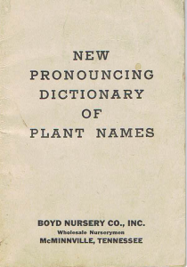 Boyd Nursery Company Pronouncing Dictionary