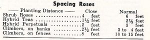 Chart for Proper Spacing of Roses