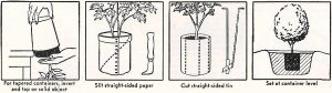 Illustration of How To Plant Container Plants