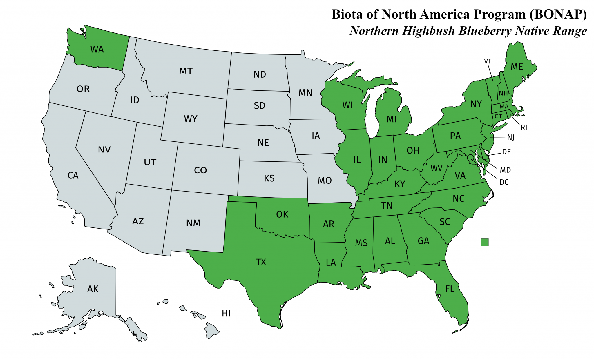 Highbush Blueberry Boyd Nursery Company