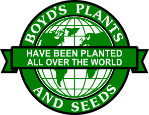 Boyd Nursery Company Globe Logo